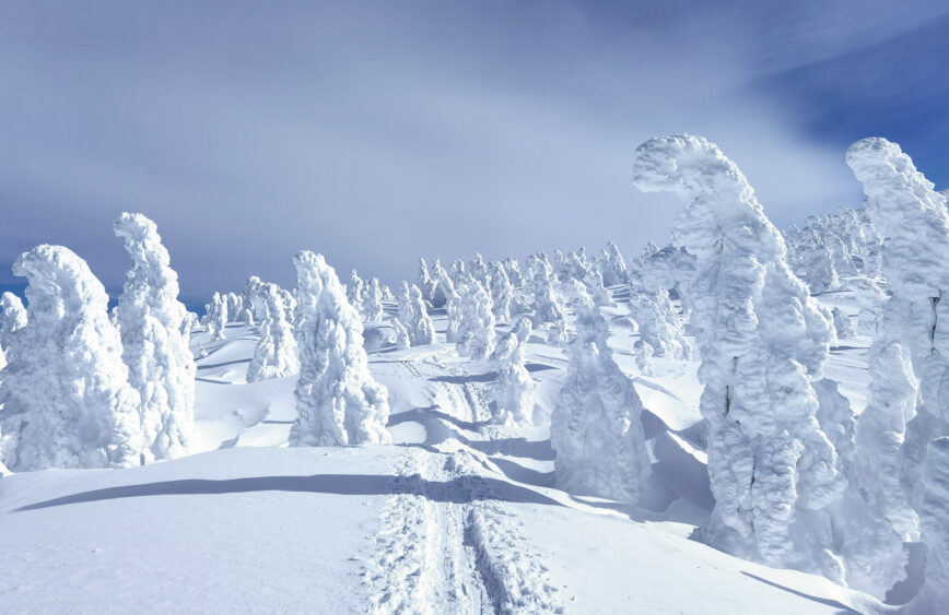 Winter in Japan: Die „Schneemonster“ von Moriyoshi & Hakkoda